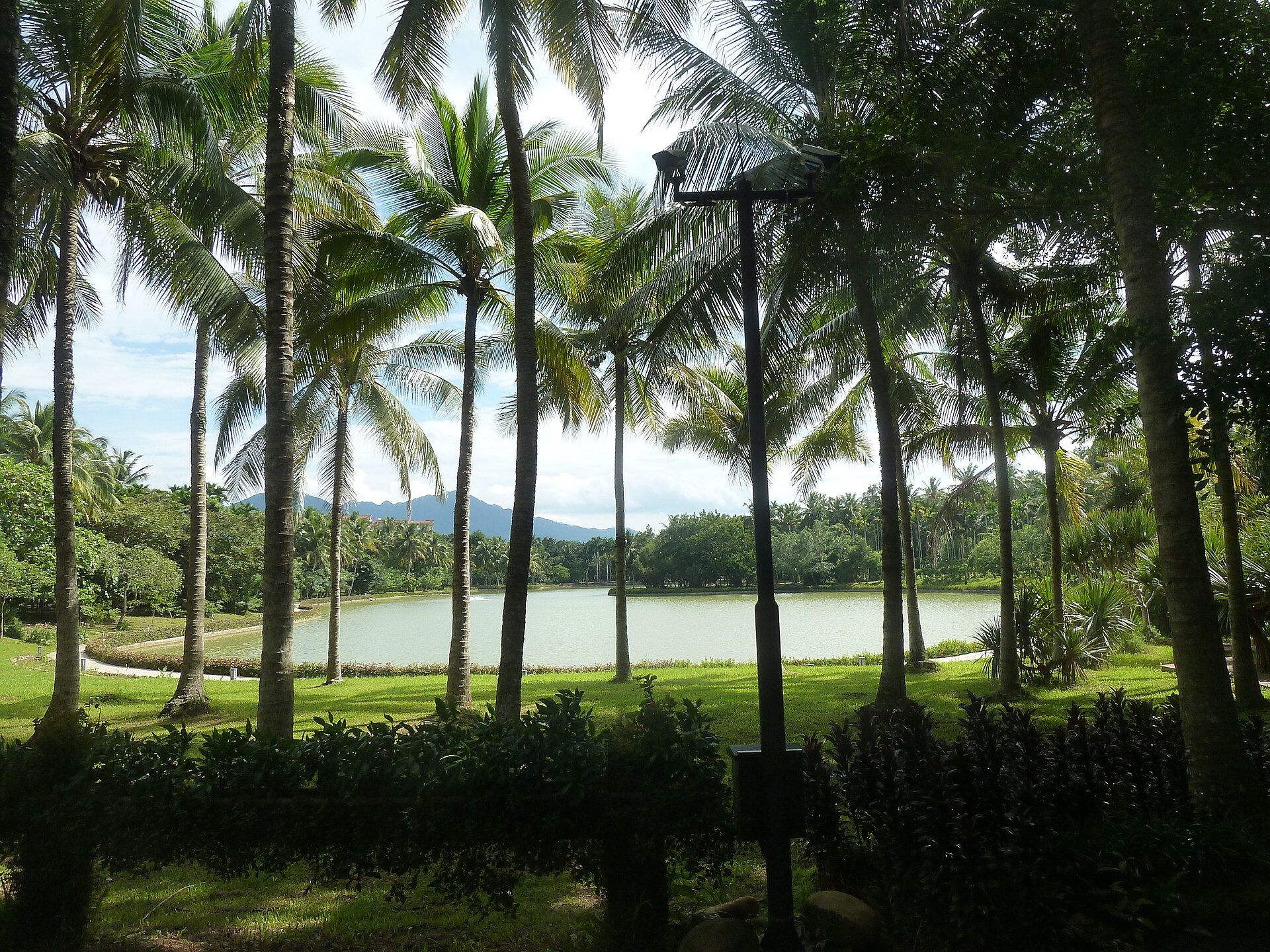 万宁兴隆热带植物园椰林和湖面实景